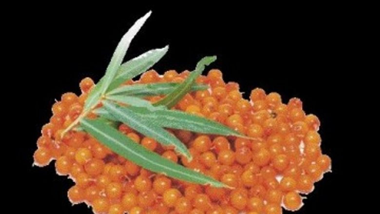 Reducerea Colesterolului prin Plante: O Alternativă Naturală la Medicamentele Convenționale