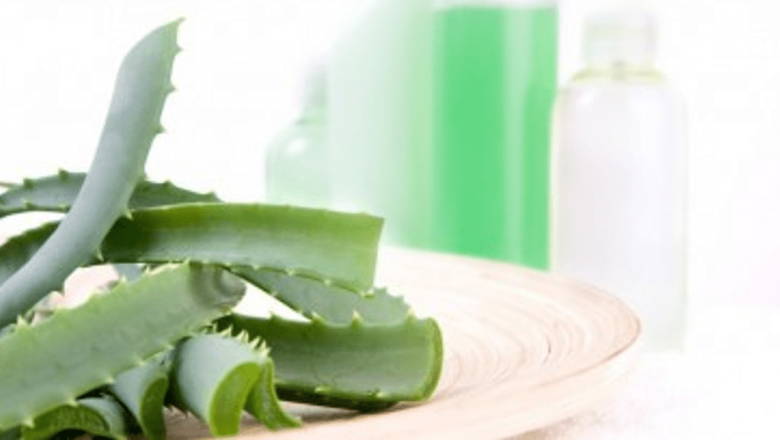 Farmacia Verde: Soluții Naturale pentru Ulcerul Gastric și Duodenal