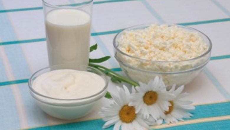 Celebrând Lactatele: Impactul Ziua Mondială a Laptelui în Parcul Tineretului și Beneficiile Lactatelor în Dieta Zilnică