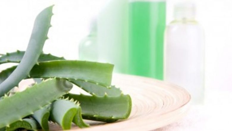 Farmacia Verde: Soluții Naturale pentru Ulcerul Gastric și Duodenal