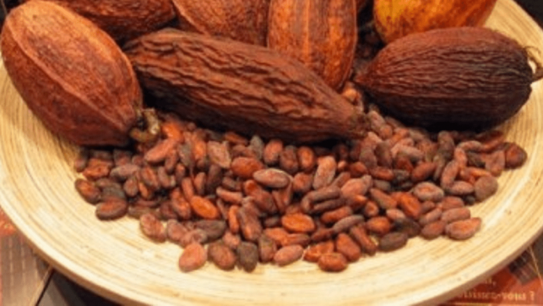 Beneficiile boabelor de cacao: O soluție naturală pentru hipertensiune arterială