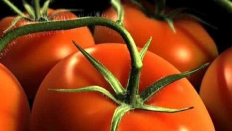 Beneficiile roșiilor pentru sănătatea inimii: O analiză detaliată a proprietăților nutriționale și impactului asupra sistemului cardiovascular