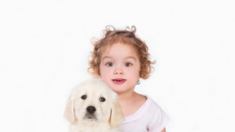 Inteligența canină și dezvoltarea cognitivă a copiilor: O paralelă surprinzătoare