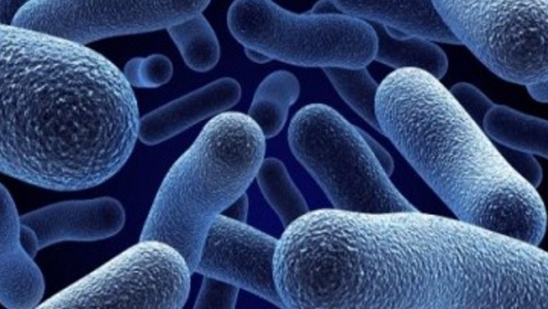 Descoperirea Revoluționară: Legătura dintre Bacteriile Intestinale și Cancerul la Colon