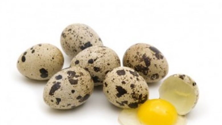 Oul de prepeliță: Superalimentul care revigorează organismul