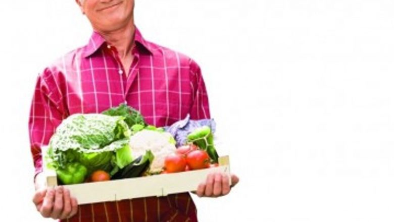 Cele Cinci Aliați Împotriva Cancerului: O Analiză Detaliată a Plantelor Medicinale și a Beneficiilor Lor