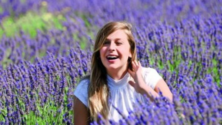 Plantele Medicinale din Luna August: O Resursă Prețioasă pentru Sănătate