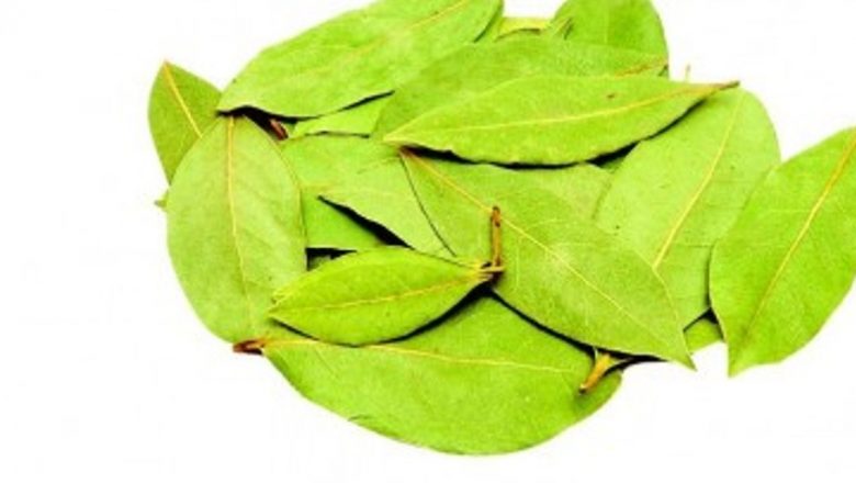 Proprietățile terapeutice ale dafinului: un remediu natural pentru durerile de gât și nu numai
