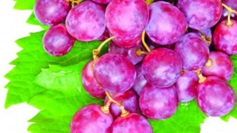 Beneficiile strugurilor roșii: Un scut natural împotriva cancerului