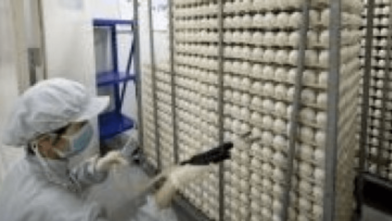 Vaccinul contra gripei noi: Producție, distribuție și implicații în sănătate publică
