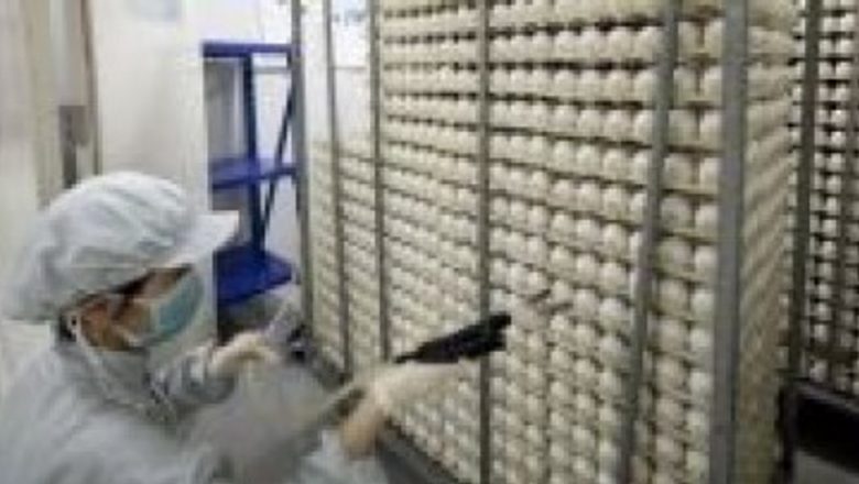 Vaccinul Cantgrip: O Nouă Armă în Lupta Contra Gripei Porcine și Implicațiile Sale pentru Sănătatea Publică