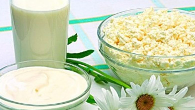 Lactatele: Fundamentul Sănătății Osoase și Al Prevenției Cancerului de Colon