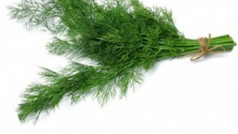 Beneficiile Mărarului: Un Remediu Natural pentru Durerile de Cap și Nu Nu Numai