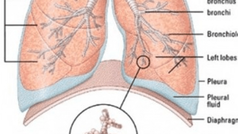 Revoluția în tratamentele pentru cancerul pulmonar: un nou medicament promițător fără reacții adverse