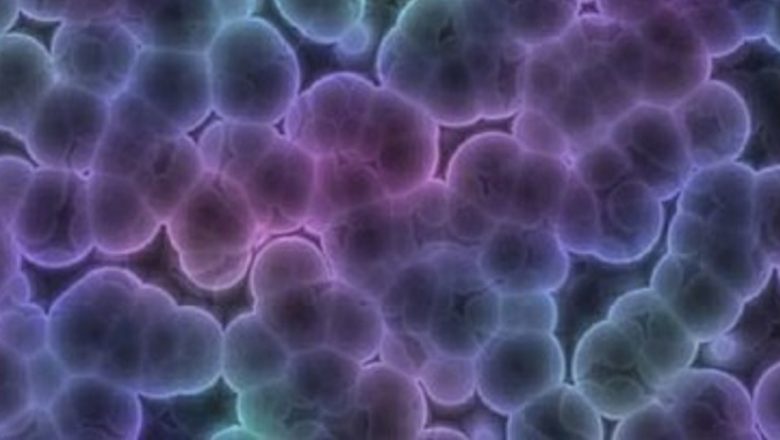 Revoluția în Oncologie: O Nouă Metodă de Distrugere a Celulelor Canceroase prin Câmp Magnetic Alternativ