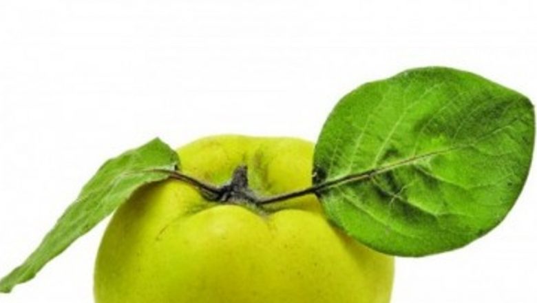 Gutuia: Leacul Natural pentru Greață și Un Aliat al Sănătății Mintale