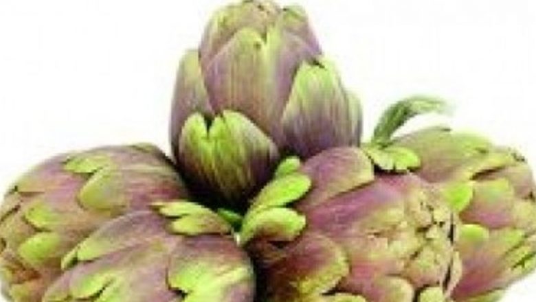 Anghinarea: Un Remediu Natural pentru Colesterolul Ridicat și Sănătatea Cardiovasculară
