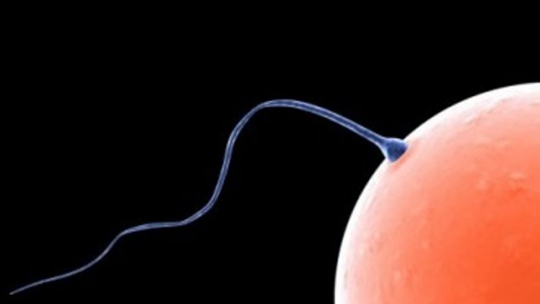Scăderea Rezervelor de Ovule: Ce Implică Aceasta pentru Femeile din Zilele Noastre?
