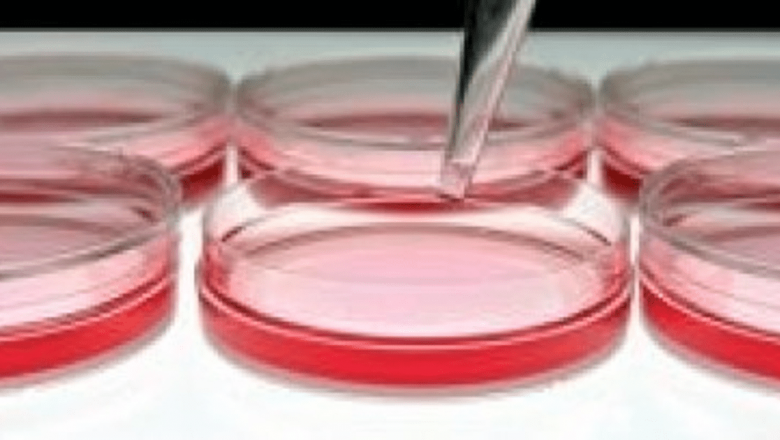 Hepatita B și C: O criză de sănătate publică în România și soluții de testare rapidă