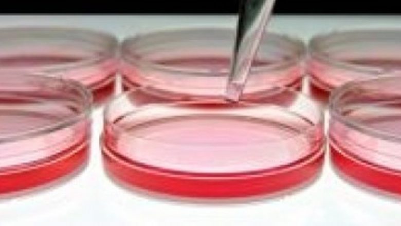 Testare rapidă pentru hepatita B și C: O necesitate urgentă în România