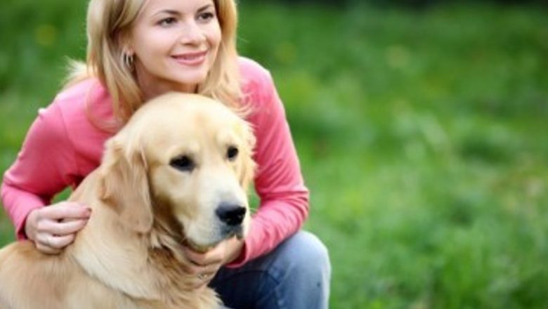 Beneficiile surprinzătoare ale animalelor de companie în combaterea stresului și îmbunătățirea sănătății