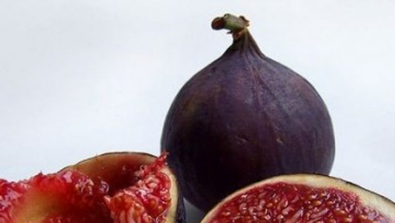 Smochinele: Superaliment cu Proprietăți Afrodiziace și Beneficii Nutriționale Excepționale