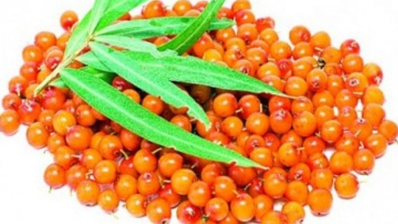 Ceaiul de cătină: Un aliat natural în protecția inimii