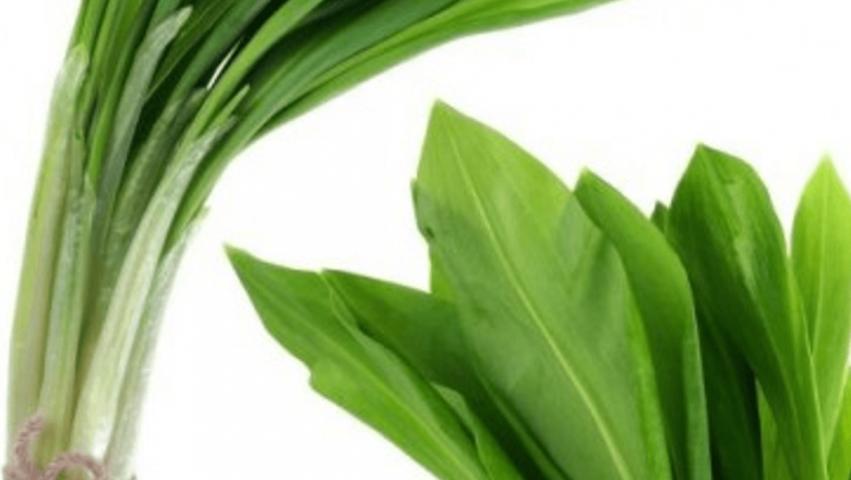 Puterea Plantelor de Sezon în Detoxifierea Organismului: O Analiză Ampla