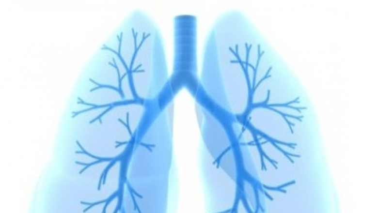 Ziua Mondială a luptei împotriva Tuberculozei: O analiză detaliată a impactului și provocărilor globale