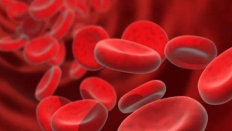 MedLife pătrunde pe piața celulelor stem: O analiză aprofundată a noilor perspective și implicații