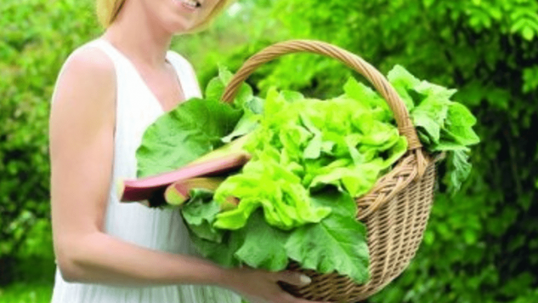 Ghidul Complet pentru O Salată Sănătoasă: Reguli și Combinări pentru o Digestie Optimă
