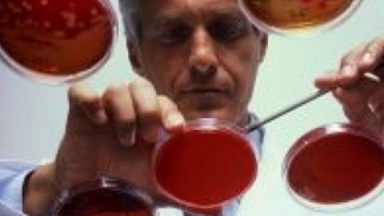 Inovația medicală: Îmbunătățirea funcției cardiace prin utilizarea celulelor stem