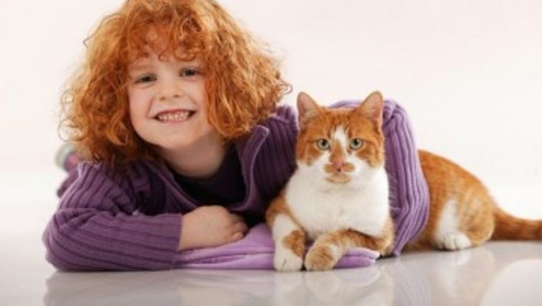 Riscurile Sănătății Asociate cu Animalele de Companie: Ce Trebuie să Știi