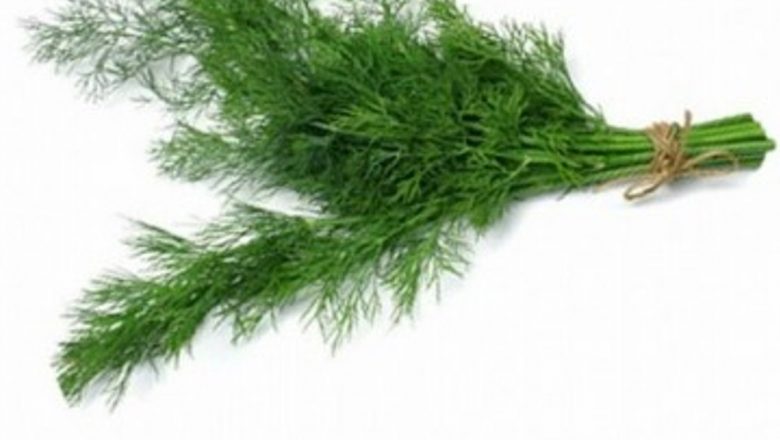 Mărarul: Un Remediu Natural Eficient Împotriva Celulitei și Beneficiile Sale pentru Sănătate