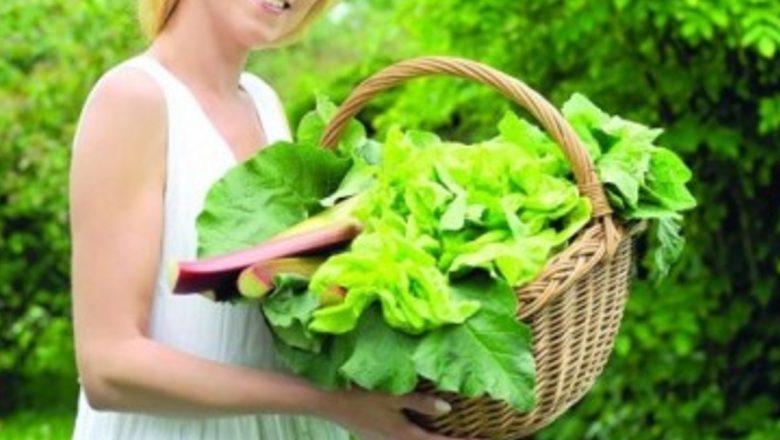 Salatele Sănătoase: Cum Să Asociezi Corect Legumele Pentru O Dietă Echilibrată
