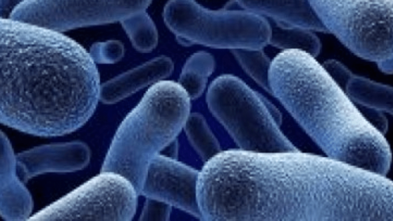Impactul bacteriilor intestinale asupra polipilor de colon: O nouă descoperire revoluționară în tratamentul cancerului colorectal