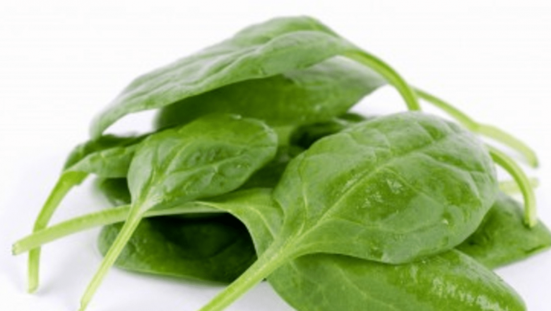 Salata verde: Un sedativ natural și beneficiile sale în nutriție