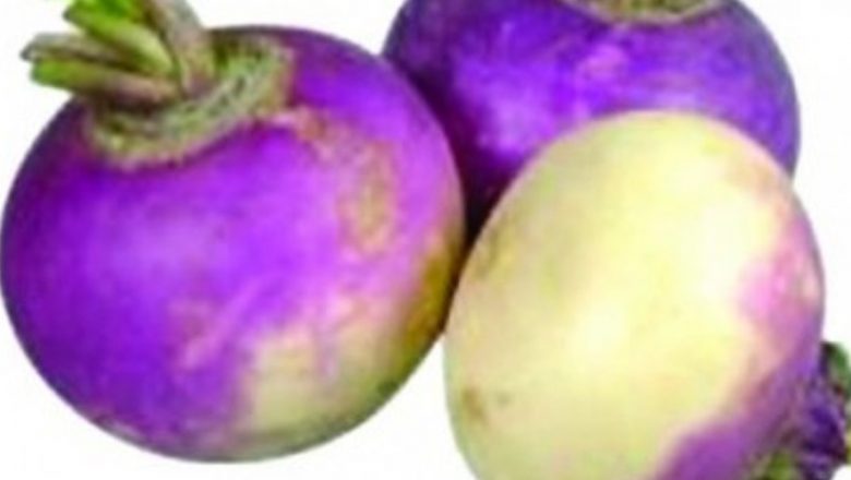 Proprietățile curative ale napului: Beneficii pentru sănătate și frumusețe