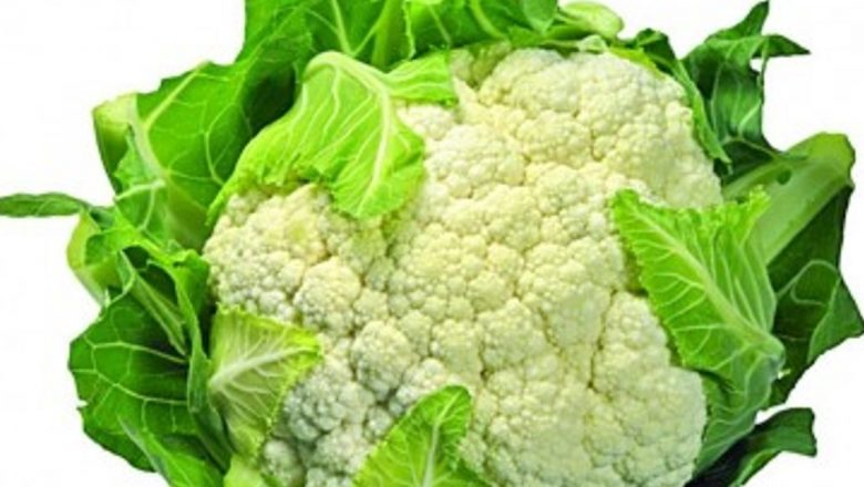 Conopida: O superalimentă în lupta împotriva cataractei și a bolilor cardiovasculare
