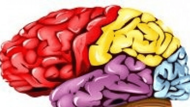 Impactul Marihuanei Asupra Creierului: O Analiză Detaliată a Efectelor pe Termen Lung