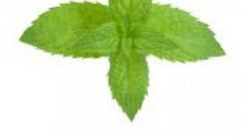 Puterea Mentei: Impactul Aromelor Asupra Concentrației și Performanței Fizice