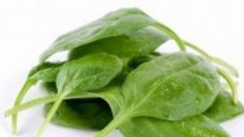 Energie din Natură: Cum Plantele Pot Combate Oboseala și Stresul Cotidian