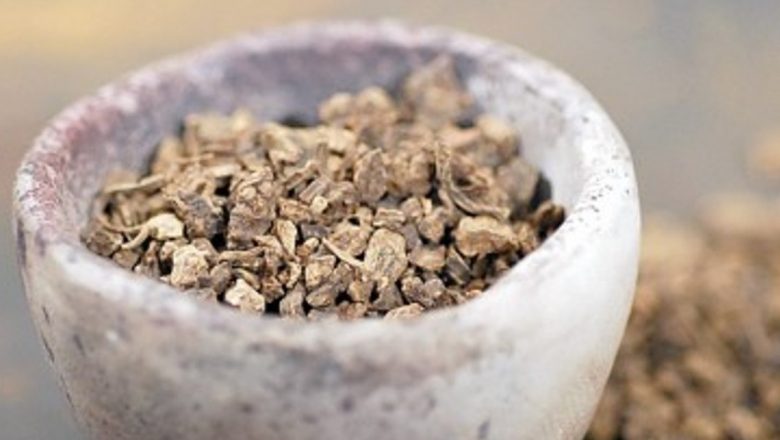 Valeriana: Soluția Naturală pentru Insomnie și Anxietate în Timpuri Moderne