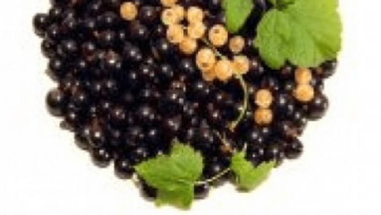 Pigmenții din fructe și legume: O armă naturală în lupta împotriva cancerului