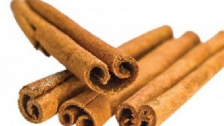 Scorţişoara: Remediu Natural pentru Afecţiunile Digestive – Beneficii, Utilizare şi Perspective