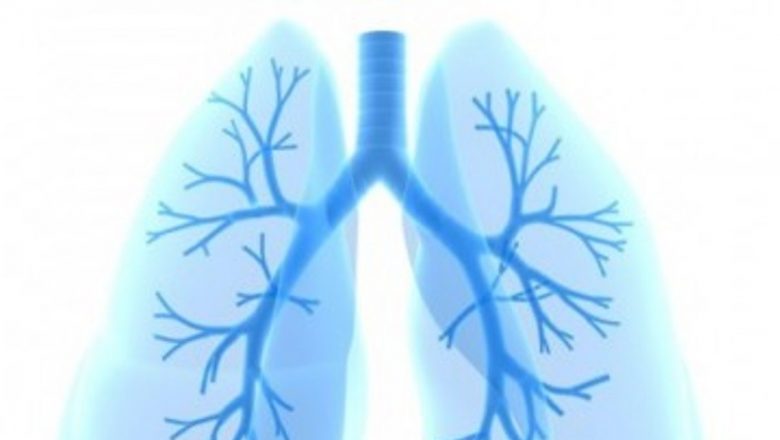 Importanța Zincului în Prevenția și Tratamentul Pneumoniei: O Analiză Detaliată