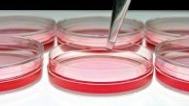 Salmonella: O nouă frontieră în lupta împotriva cancerului