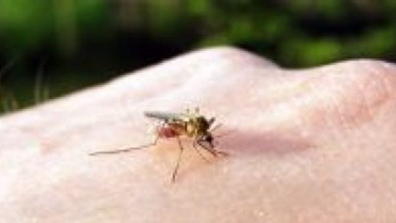 Răspândirea virusului West Nile: O amenințare serioasă pentru sănătatea publică
