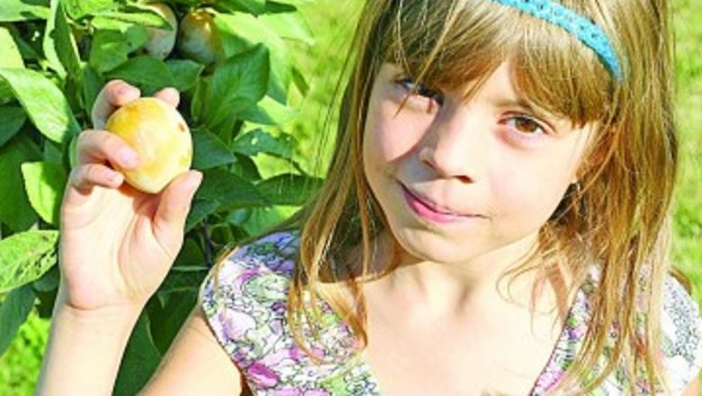 Prunele: Un Remediu Natural pentru Anemie și Nu Numai
