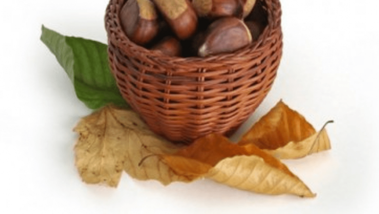 Castanele comestibile: Un leac natural pentru anemie și beneficii multiple pentru sănătate